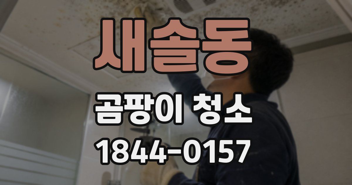 새솔동 곰팡이 청소