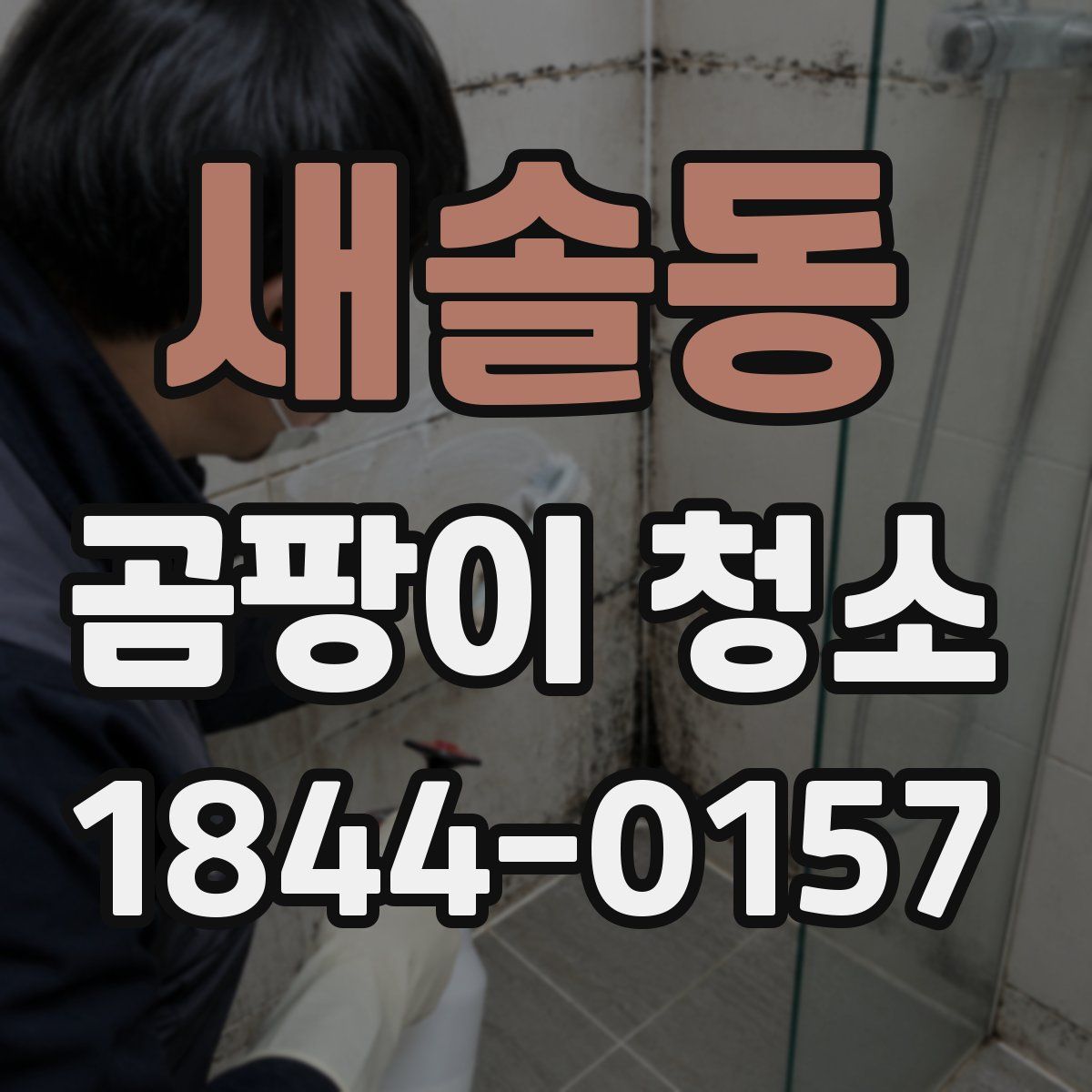 새솔동 곰팡이 청소
