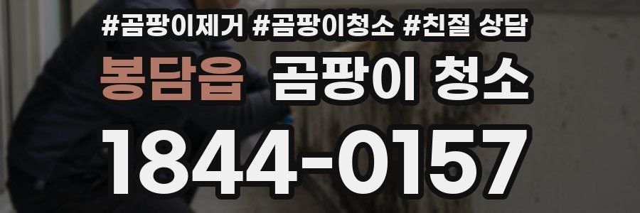 봉담읍 곰팡이 청소