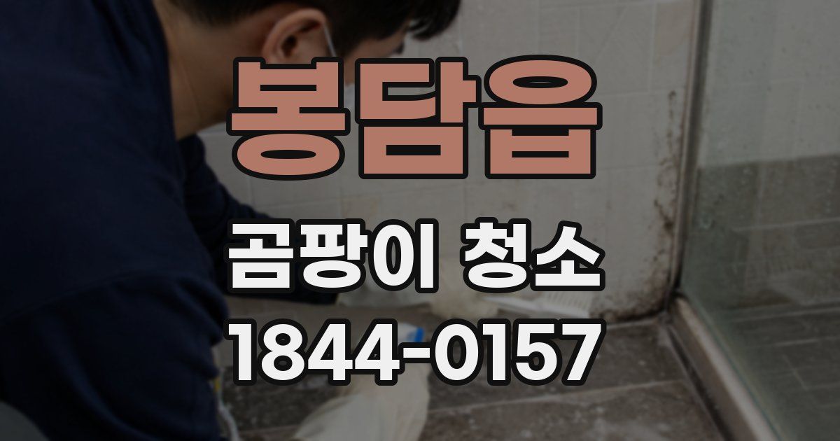 봉담읍 곰팡이 청소
