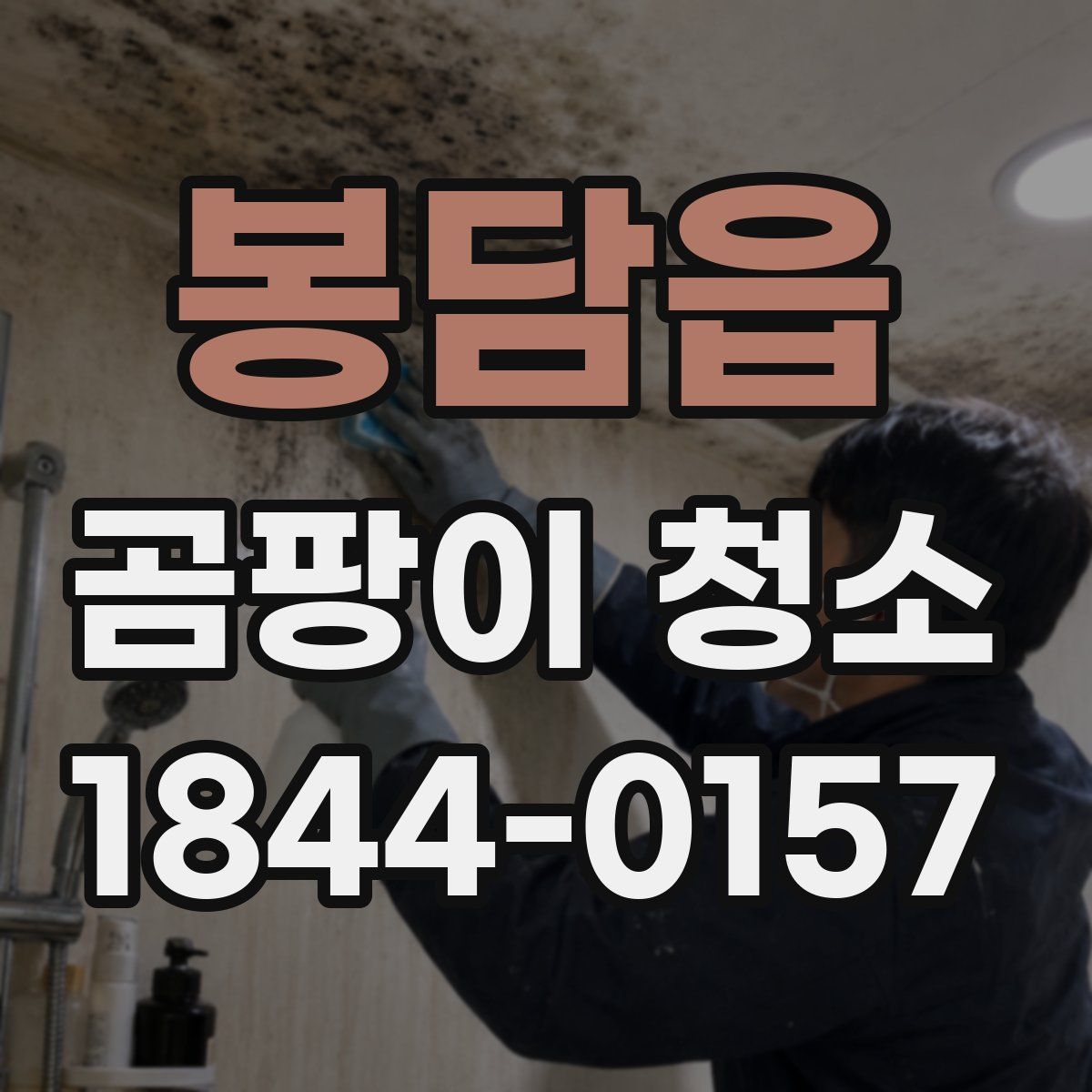 봉담읍 곰팡이 청소