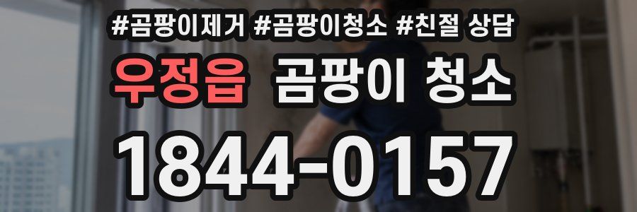 우정읍 곰팡이 청소