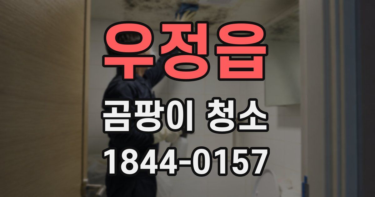 우정읍 곰팡이 청소