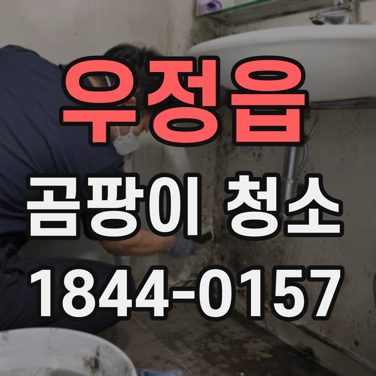 우정읍 곰팡이 청소