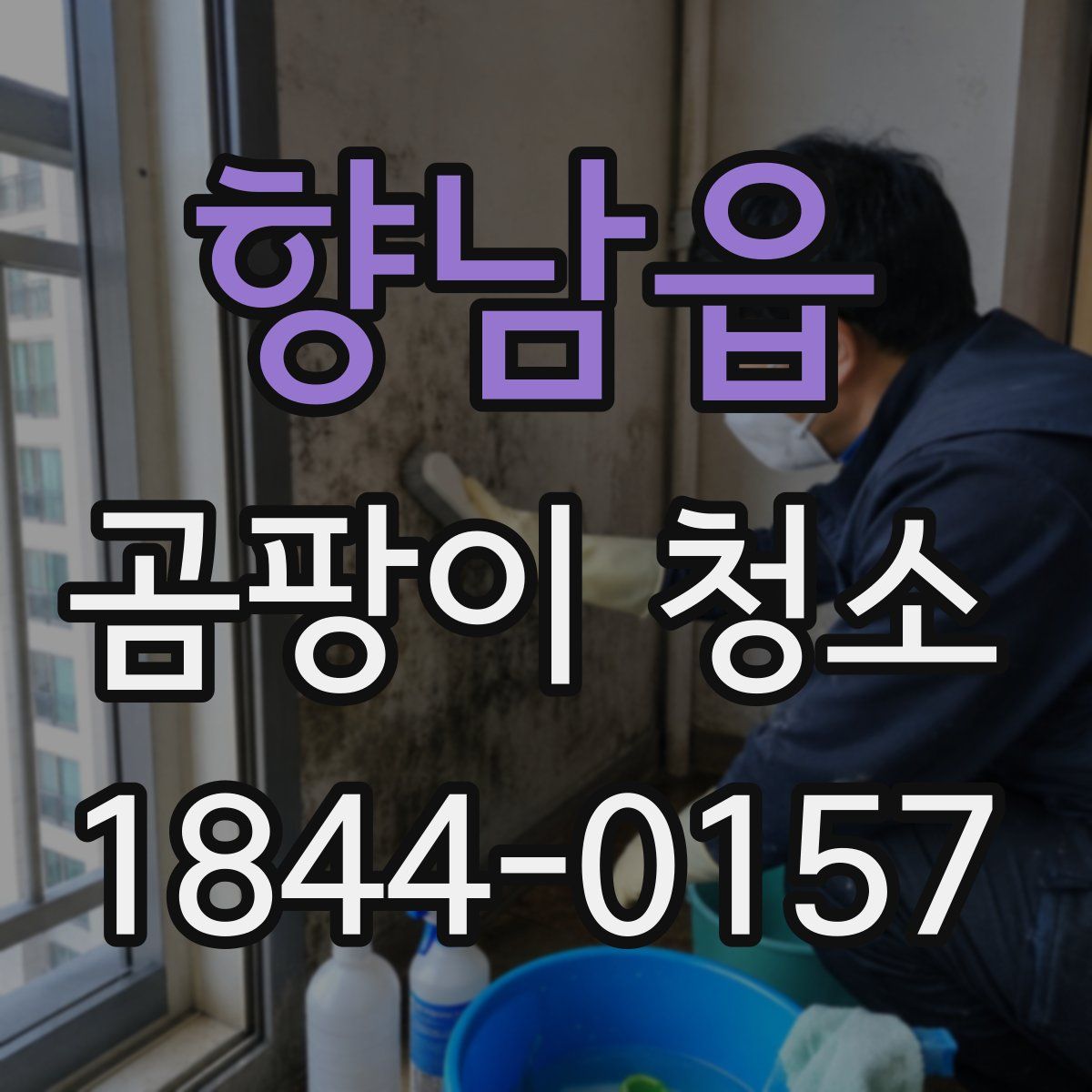 향남읍 곰팡이 청소