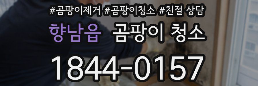 향남읍 곰팡이 청소