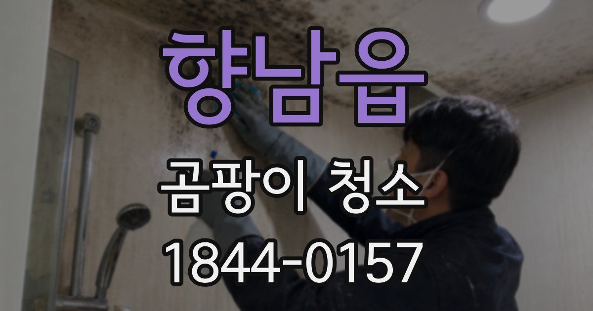 향남읍 곰팡이 청소