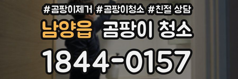 남양읍 곰팡이 청소