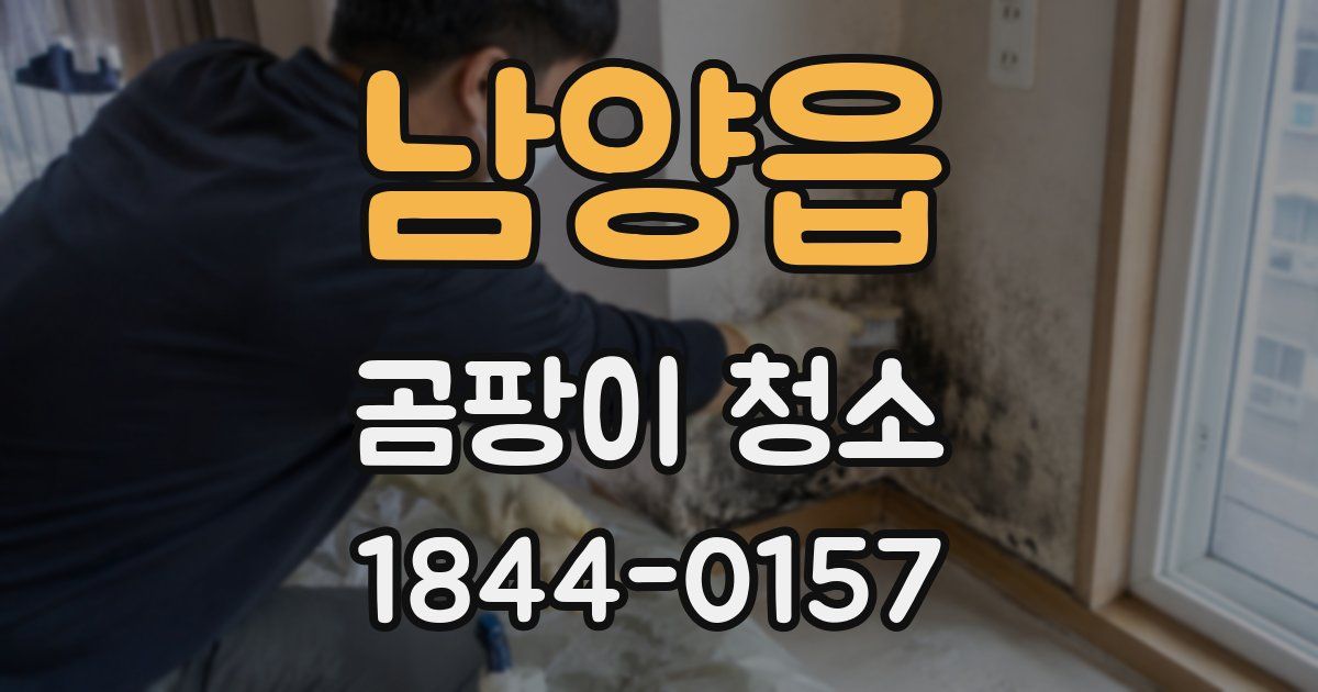 남양읍 곰팡이 청소