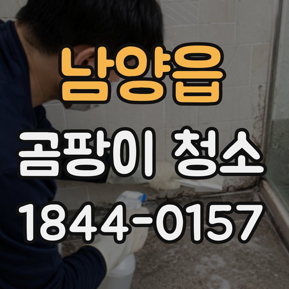 남양읍 곰팡이 청소