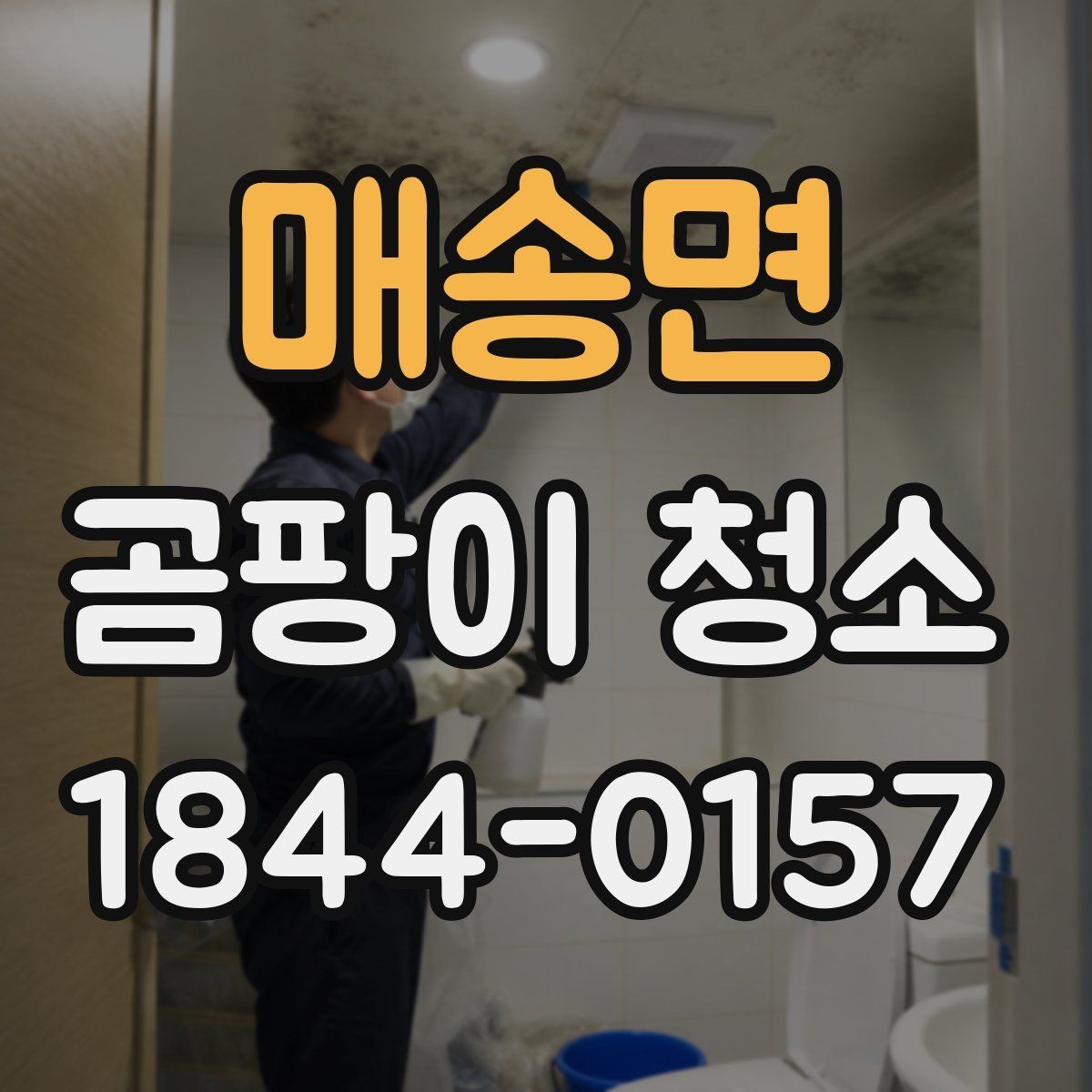 매송면 곰팡이 청소 문의 전 사진 보내는 요령