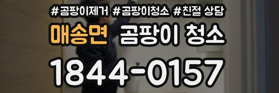 매송면 곰팡이 청소