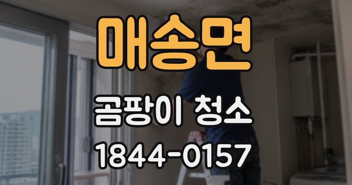 매송면 곰팡이 청소