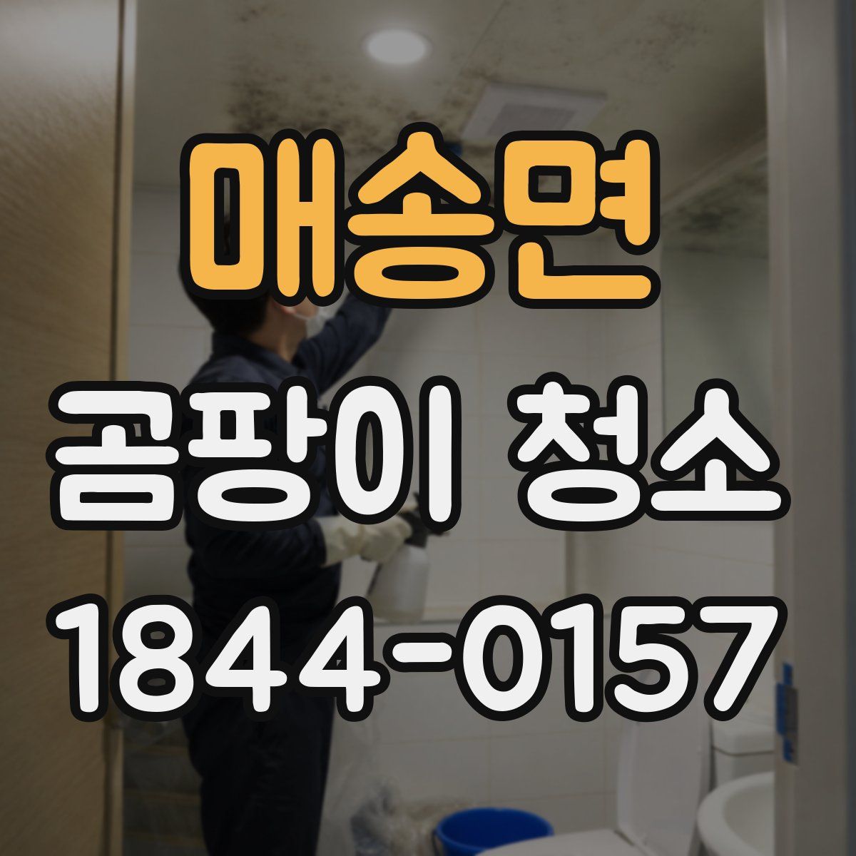 매송면 곰팡이 청소