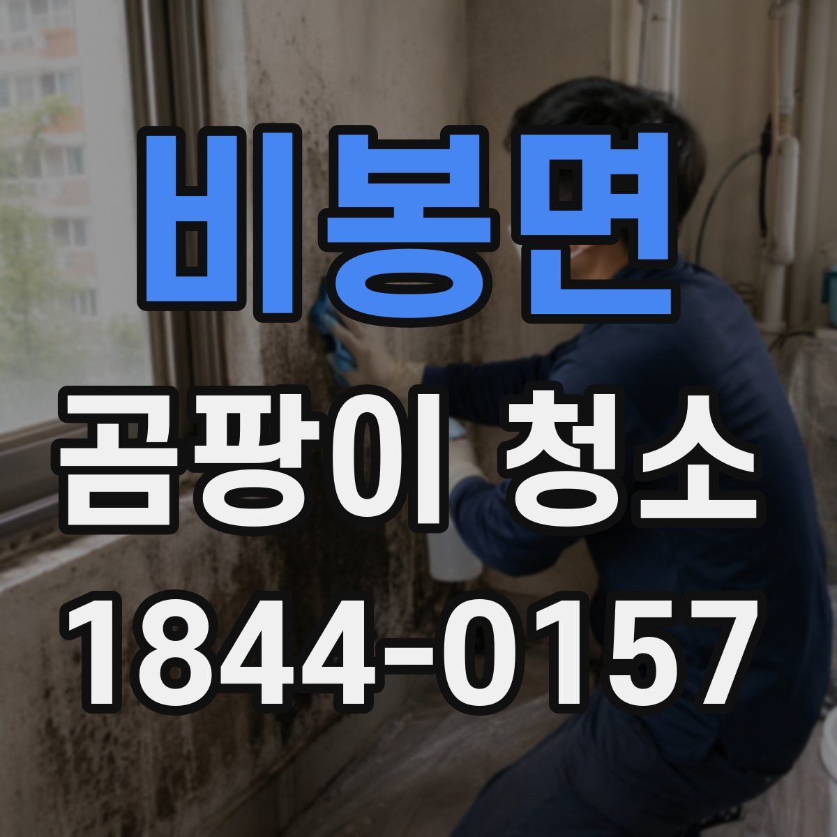 비봉면 곰팡이 청소