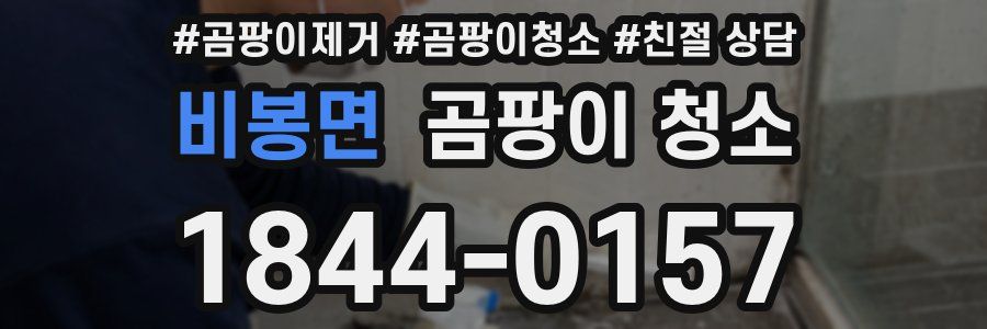 비봉면 곰팡이 청소