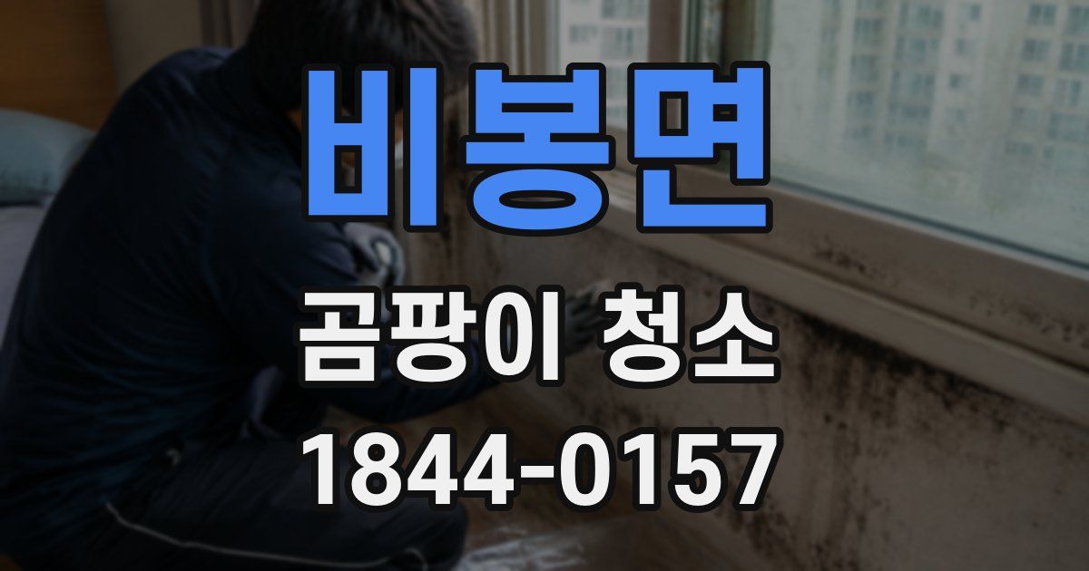 비봉면 곰팡이 청소