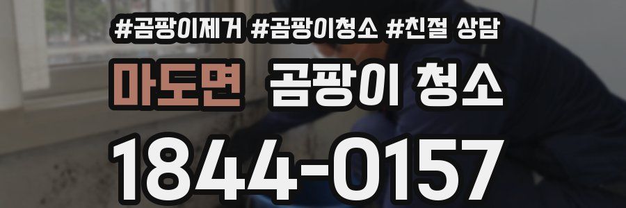 마도면 곰팡이 청소