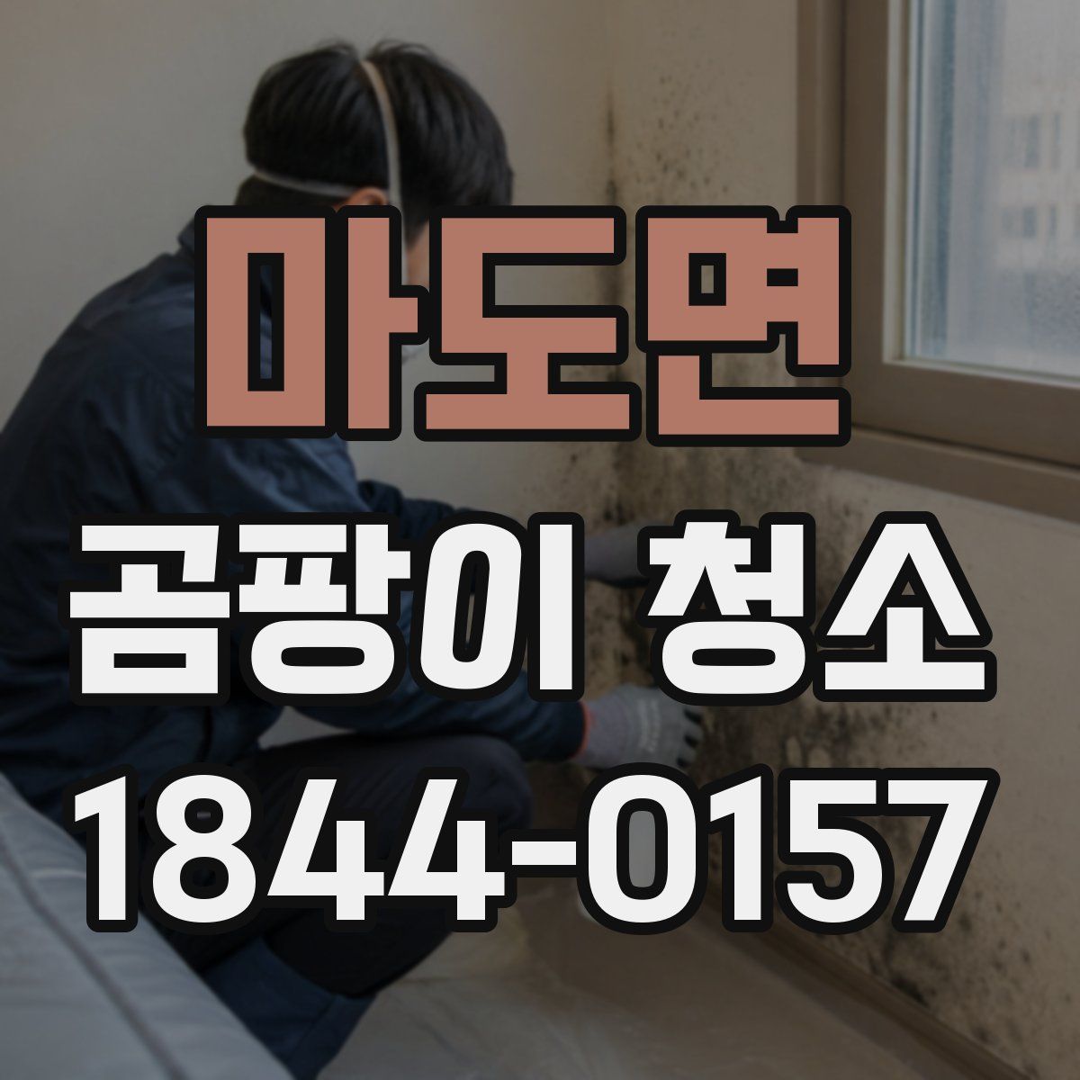 마도면 곰팡이 청소