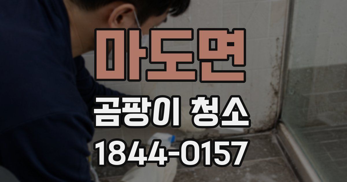 마도면 곰팡이 청소