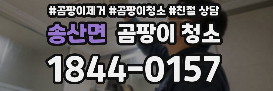 송산면 곰팡이 청소