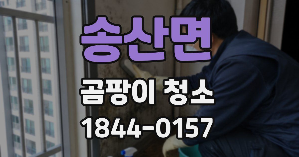 송산면 곰팡이 청소