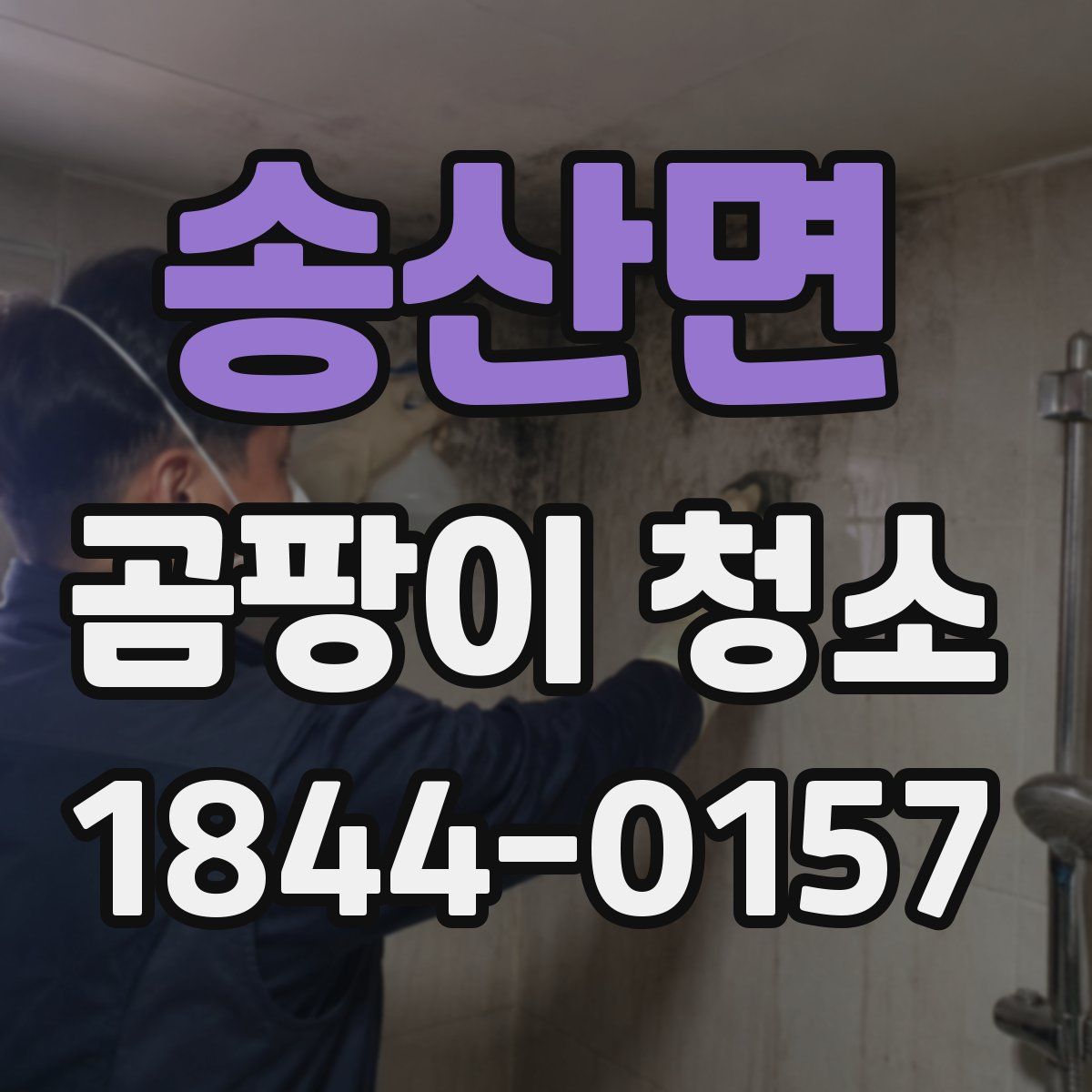 송산면 곰팡이 청소