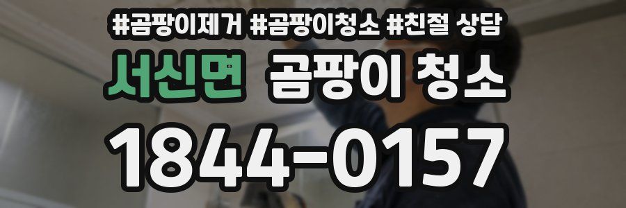 서신면 곰팡이 청소