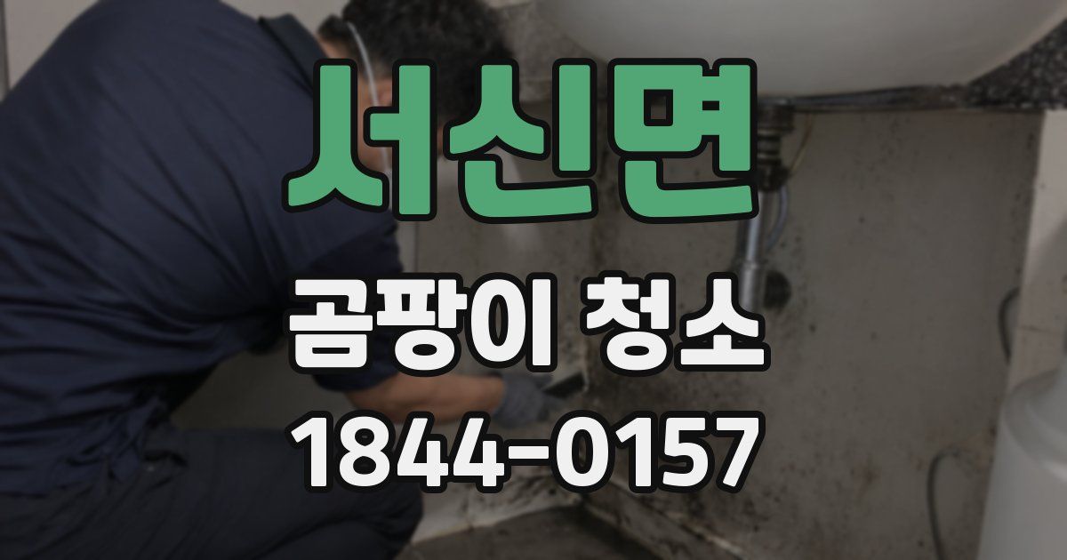 서신면 곰팡이 청소