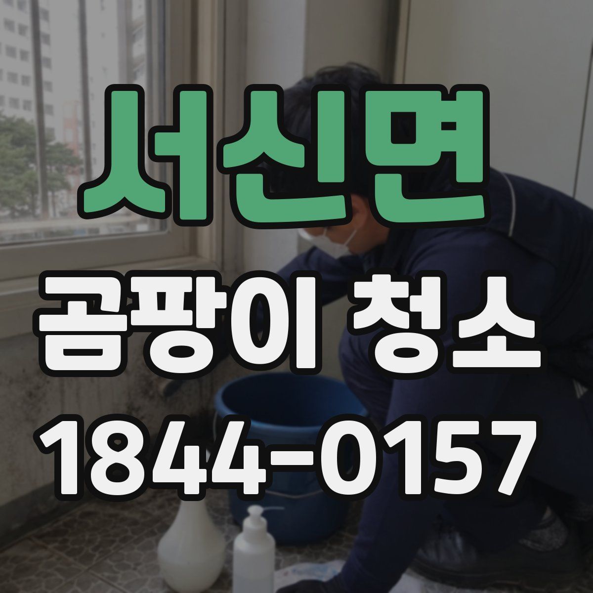 서신면 곰팡이 청소