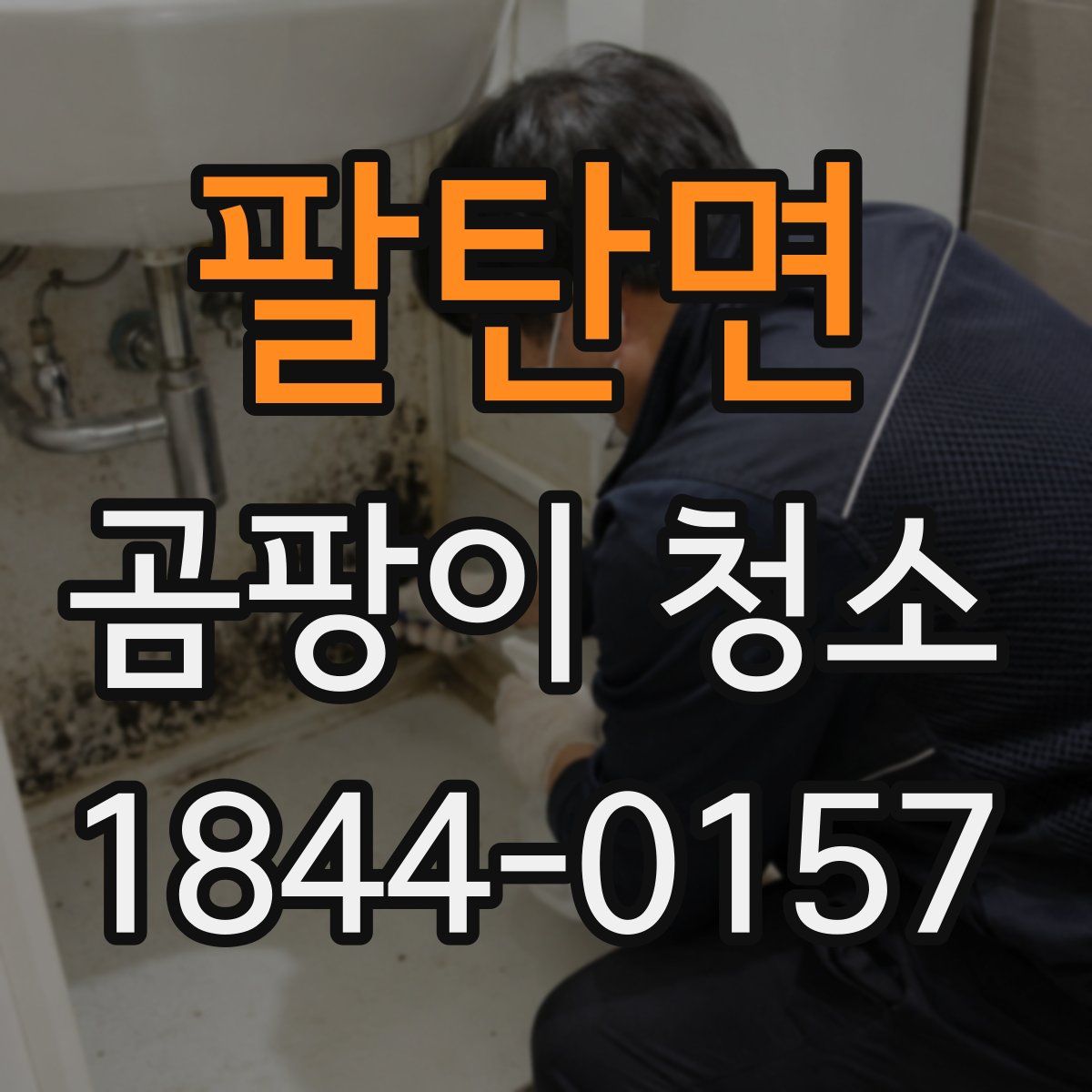 팔탄면 곰팡이 청소
