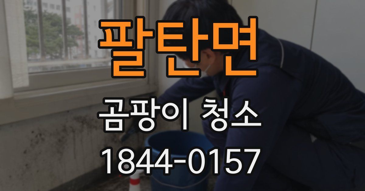 팔탄면 곰팡이 청소