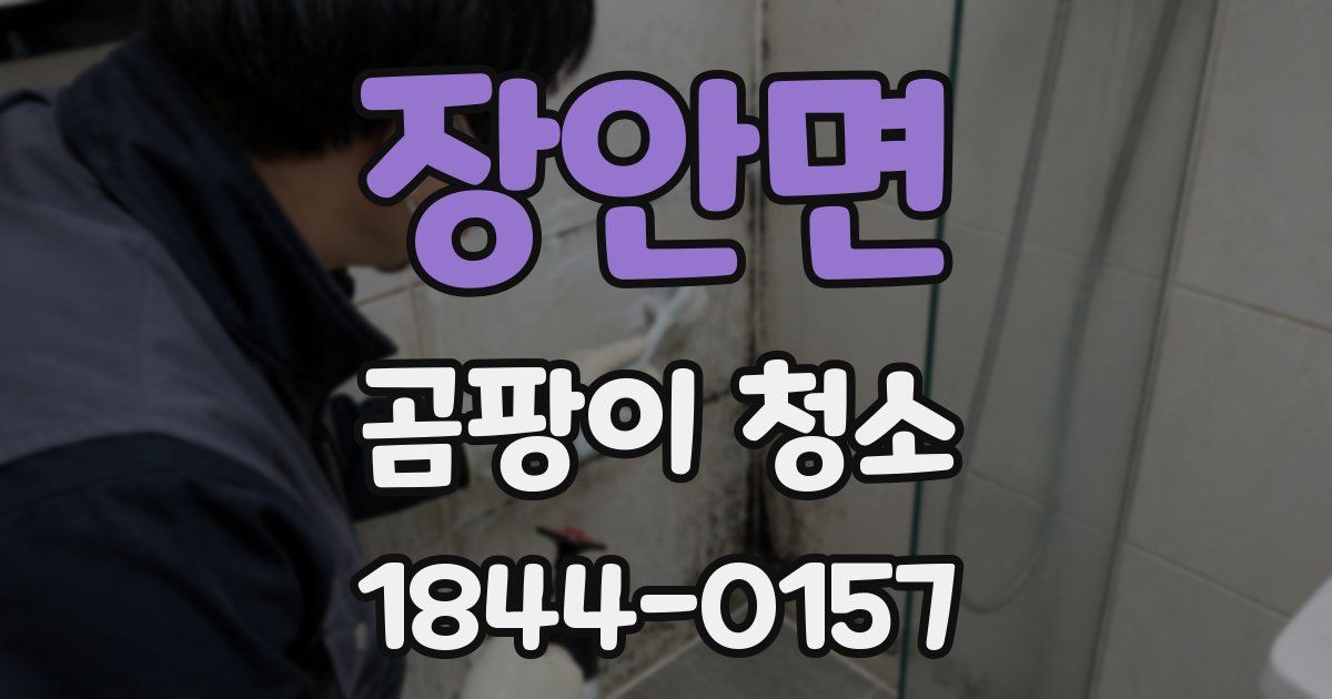 장안면 곰팡이 청소