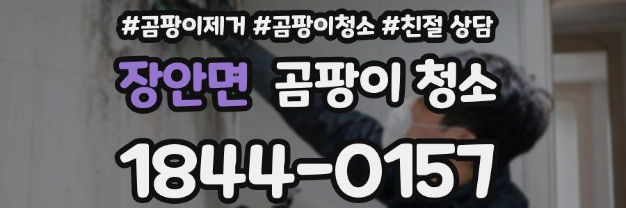 장안면 곰팡이 청소