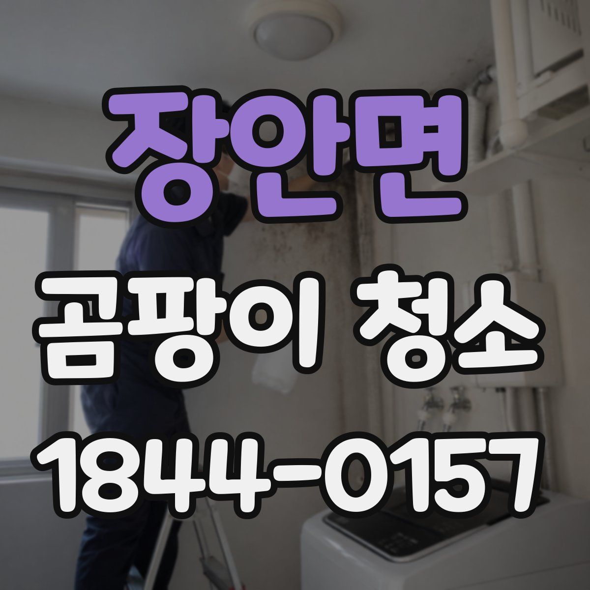 장안면 곰팡이 청소