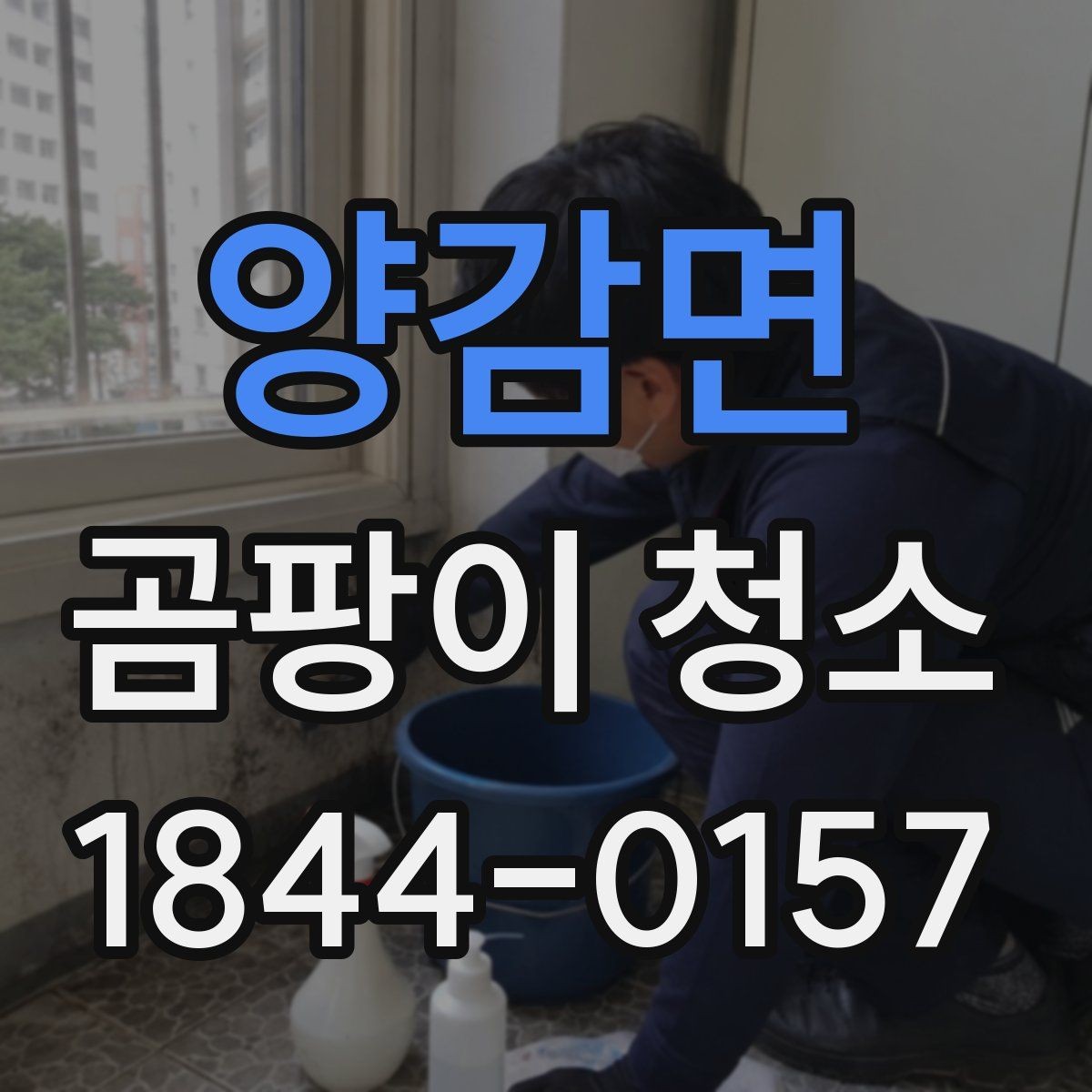 양감면 곰팡이 청소 방식별 장단점 정리