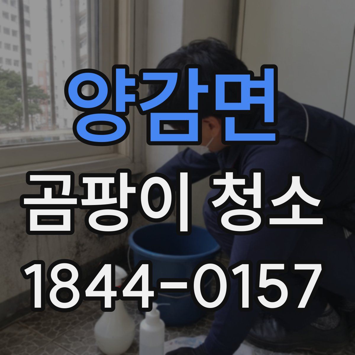 양감면 곰팡이 청소