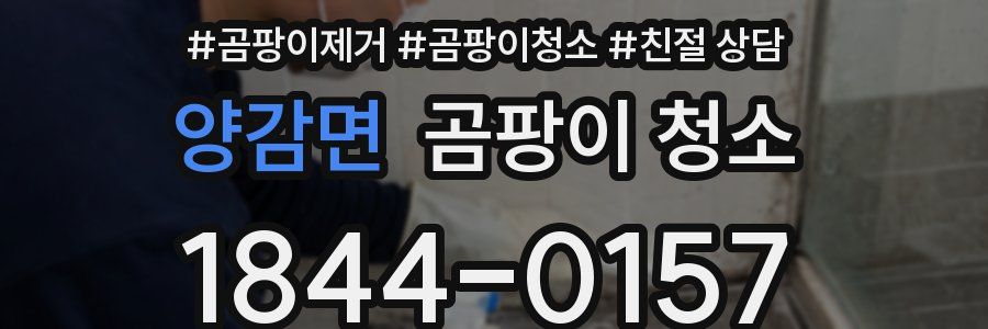 양감면 곰팡이 청소