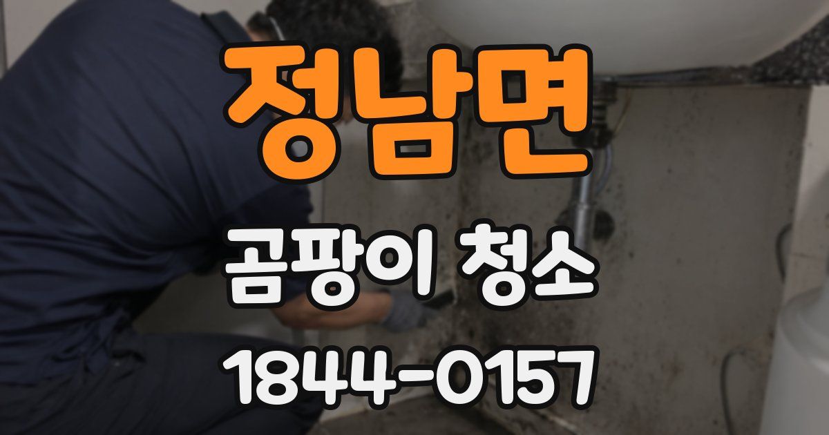 정남면 곰팡이 청소