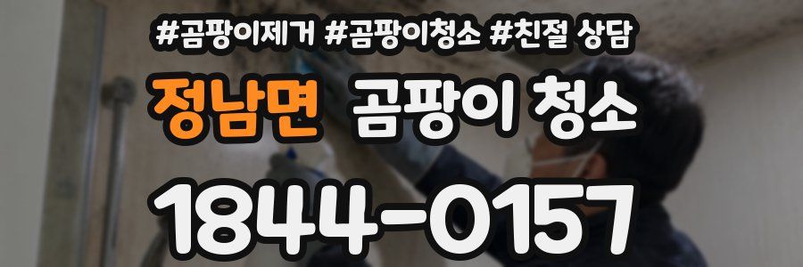 정남면 곰팡이 청소