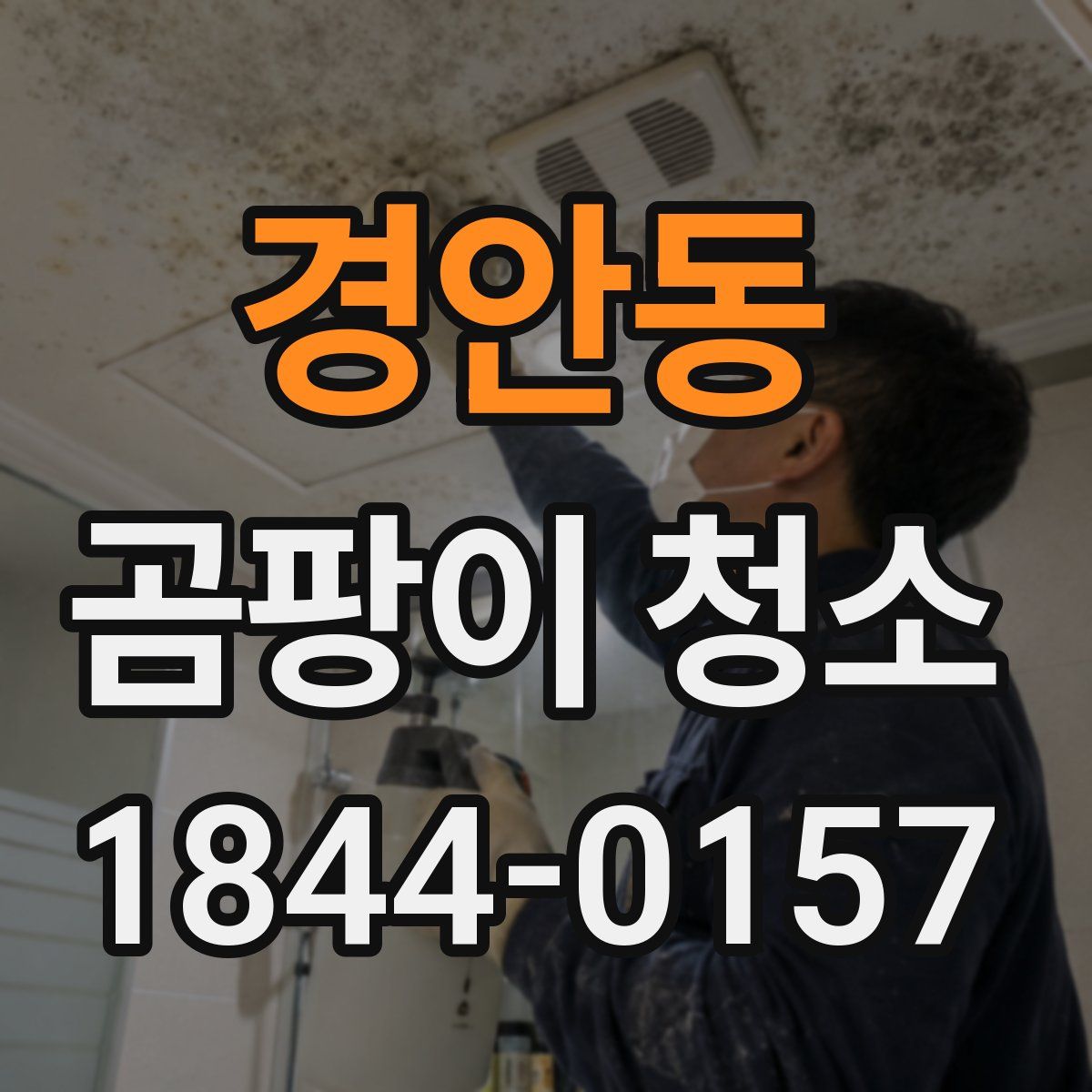 경안동 곰팡이 청소