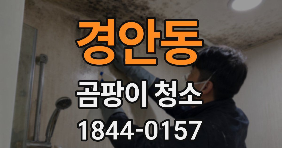 경안동 곰팡이 청소