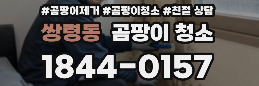 쌍령동 곰팡이 청소