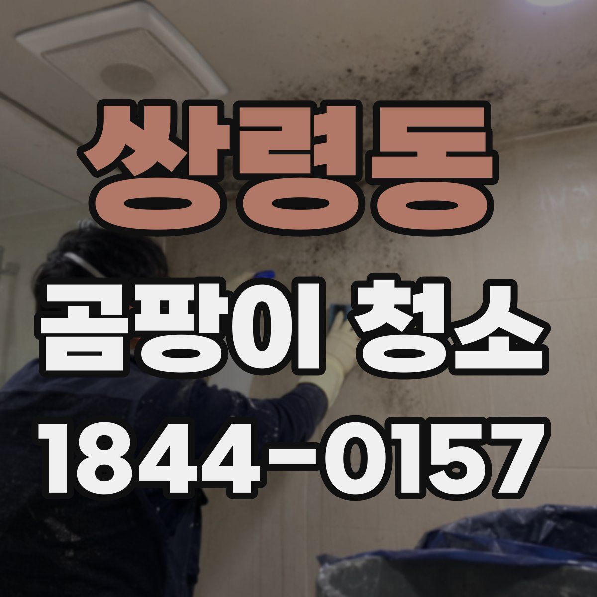 쌍령동 곰팡이 청소