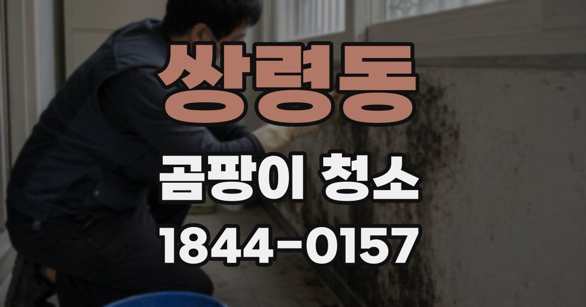 쌍령동 곰팡이 청소