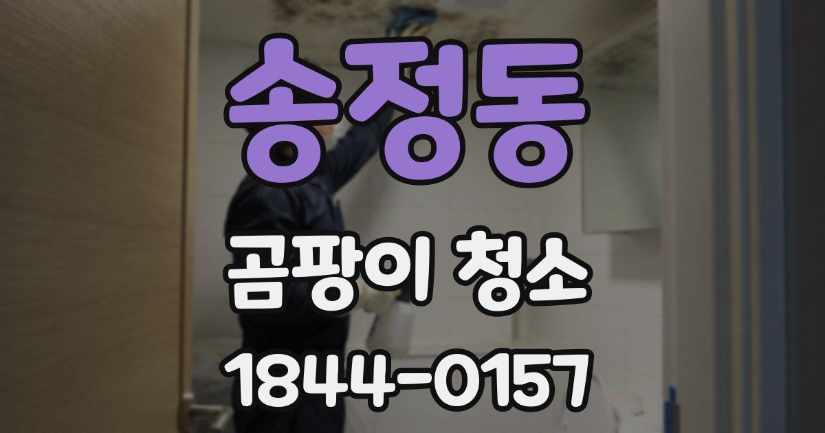 송정동 곰팡이 청소