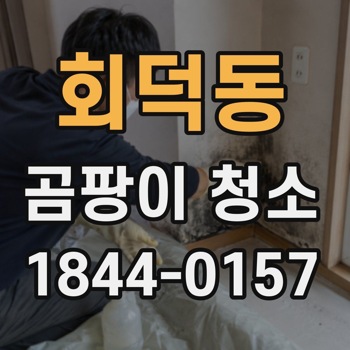 회덕동 곰팡이 청소