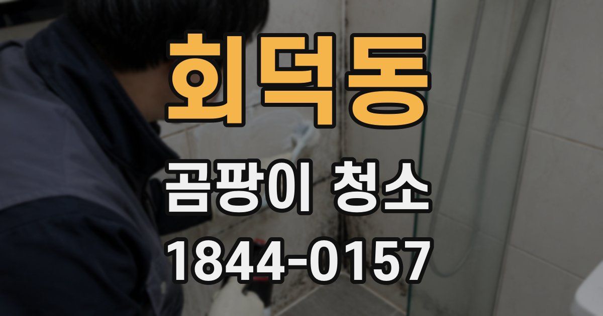 회덕동 곰팡이 청소