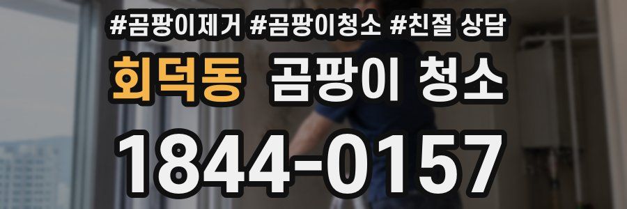 회덕동 곰팡이 청소