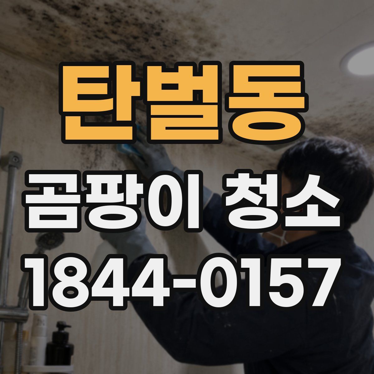 탄벌동 곰팡이 청소